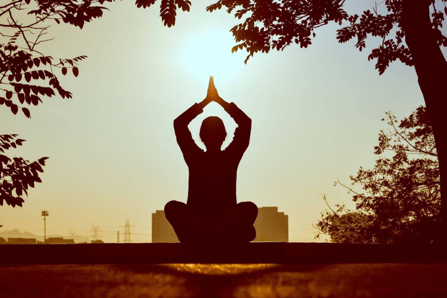 慢慢動，活久久，對健康和長壽有益的東方運動 - 封面圖