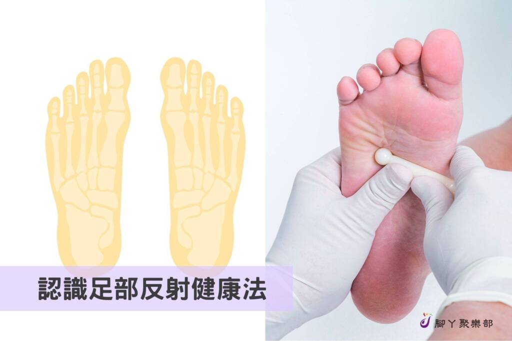 認識足部反射健康法(Foot Reflexolog… - 封面圖