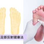 認識足部反射健康法（Foot Reflexology Therapy）