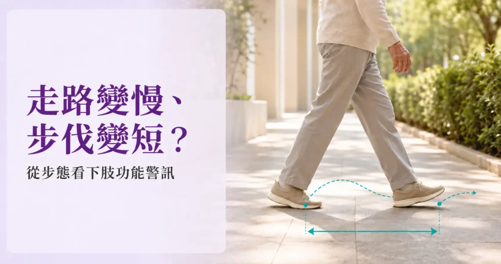 長者行走步態與步長示意