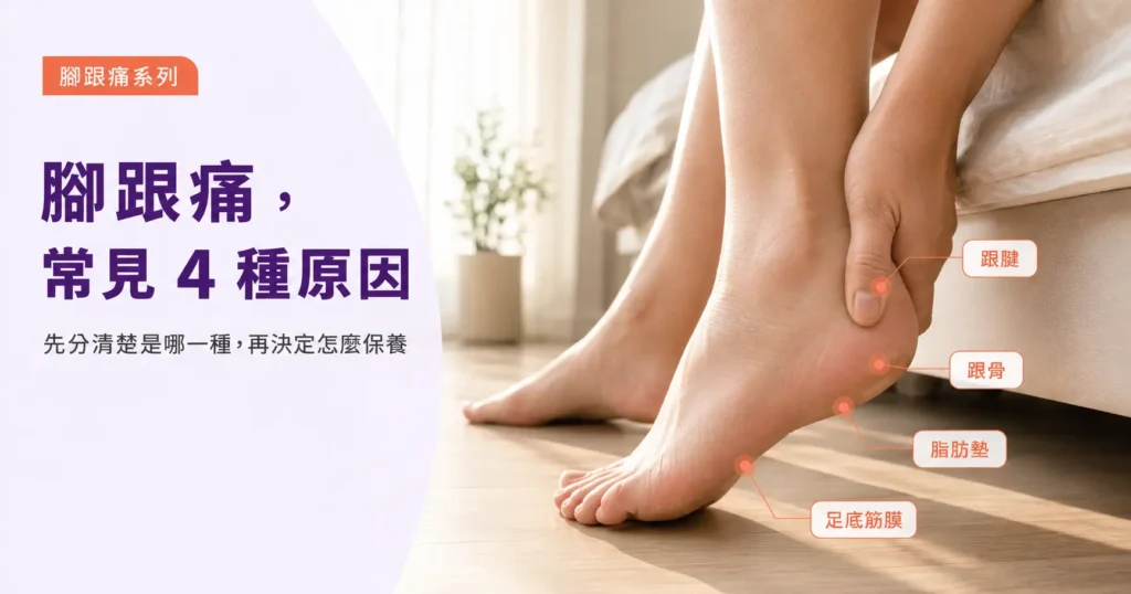 腳跟痛常見四種原因的足部位置示意圖