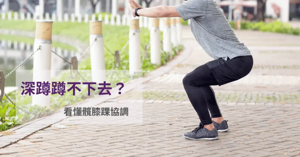 側面深蹲髖膝踝協調示意