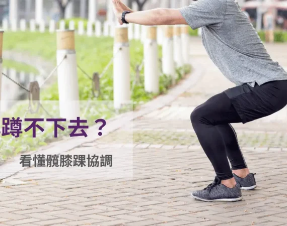 側面深蹲髖膝踝協調示意