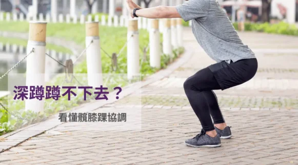 側面深蹲髖膝踝協調示意